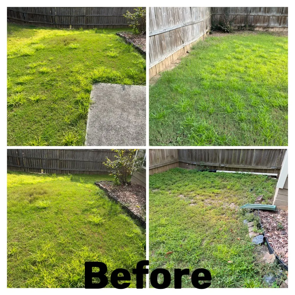 Trusted yard cleanup service in Riverdale, GA - Bravo Blades Lawn Care
