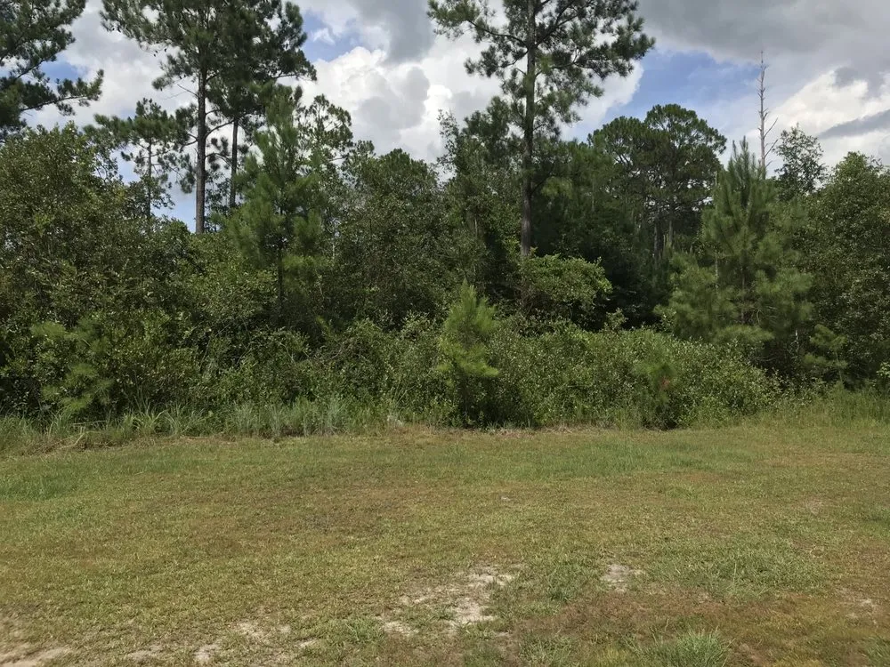 Custom yard maintenance in Ludowici, GA by Bravo Forestry Mulching