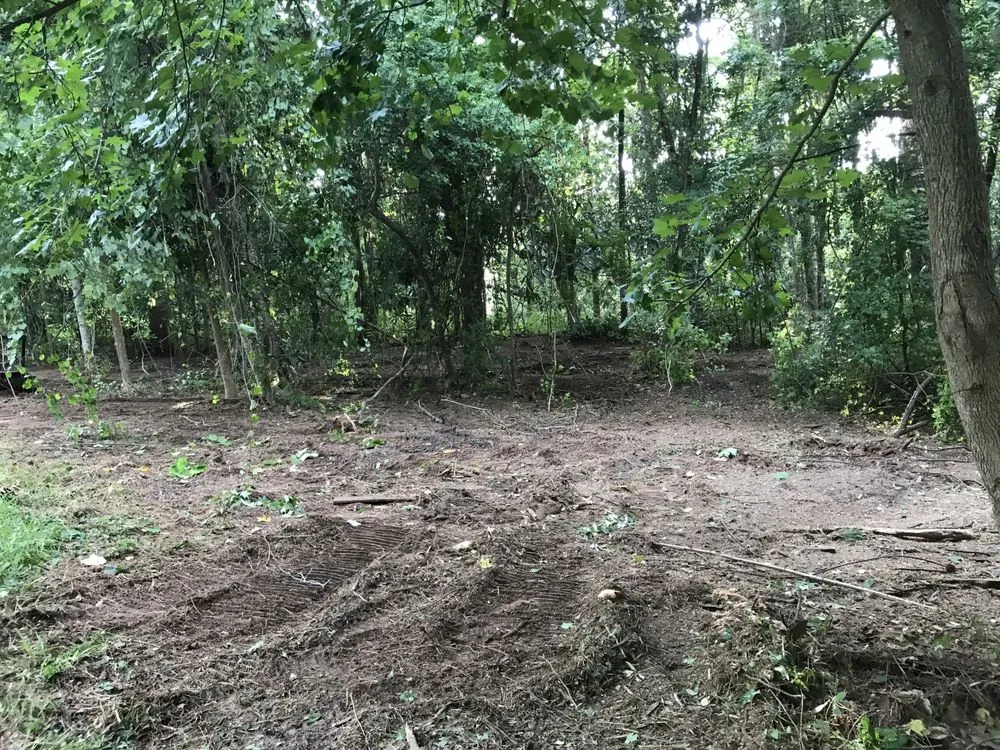 Local yard maintenance for outdoor upgrades across Ludowici, GA - Bravo Forestry Mulching