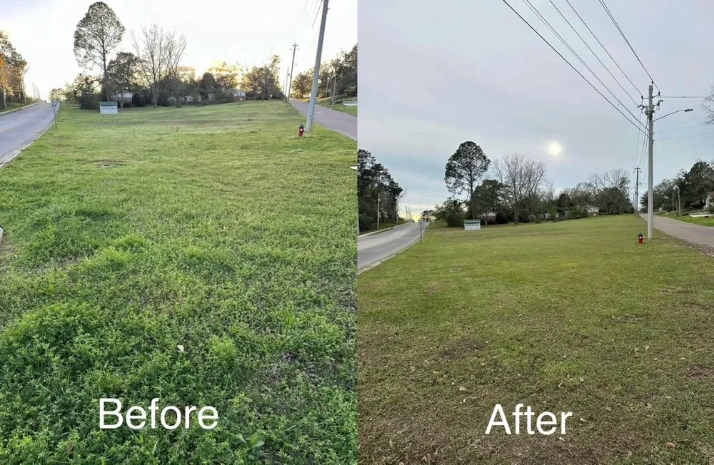 Custom yard cleanup service experts serving Fort Walton Beach, FL - Bravo Household Services