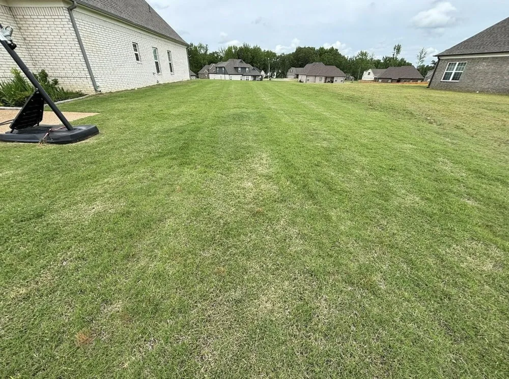 Top-rated lawn mowing service experts serving Fort Walton Beach, FL - Bravo Household Services