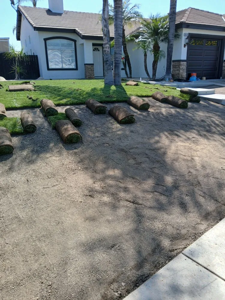 Trusted lawn care service in Menifee, CA by Bravo Landscape