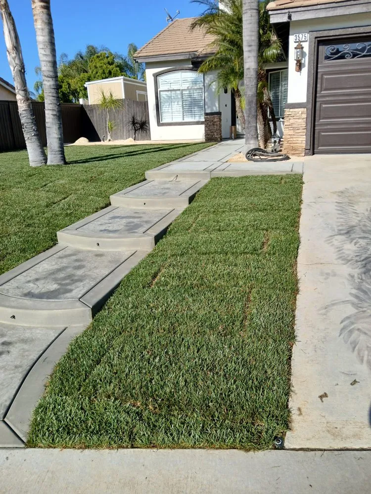 Trusted lawn care service for year-round maintenance in Menifee, CA by Bravo Landscape