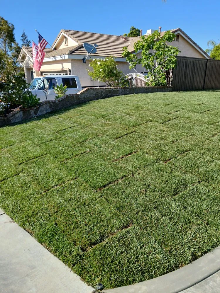 Custom yard cleanup service in Menifee, CA - Bravo Landscape
