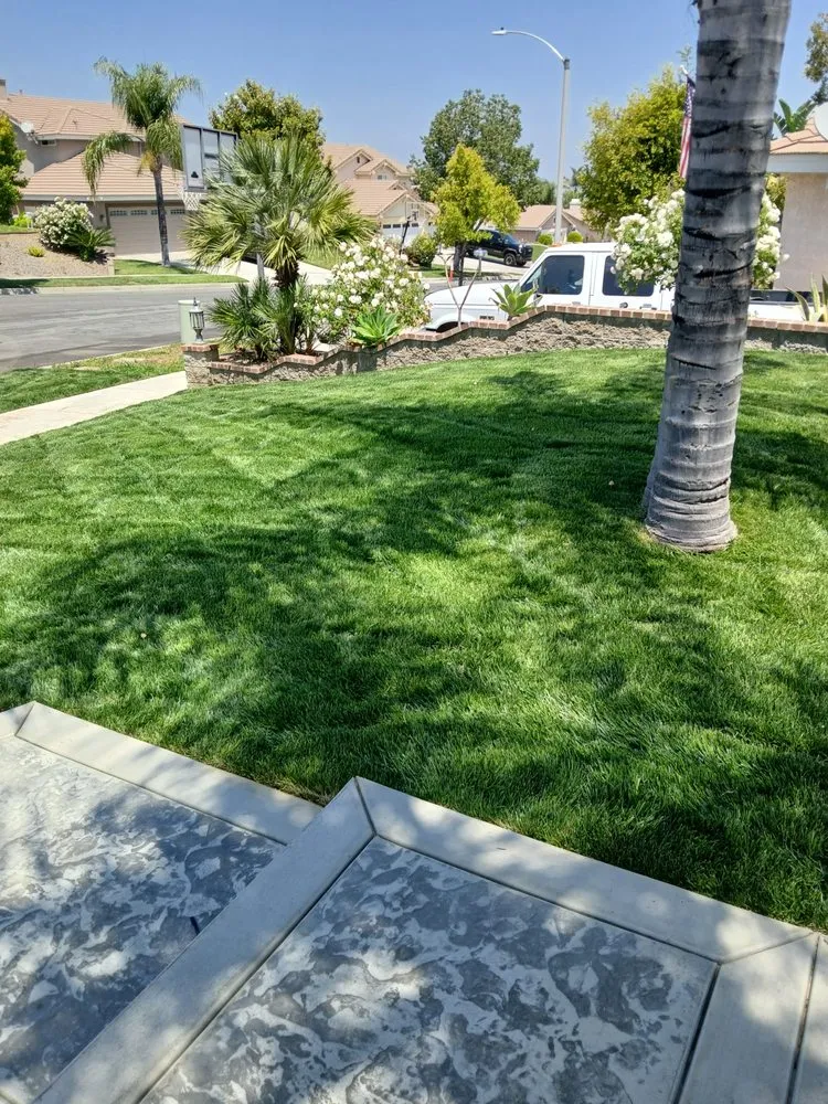 Local yard cleanup service in Menifee, CA - Bravo Landscape