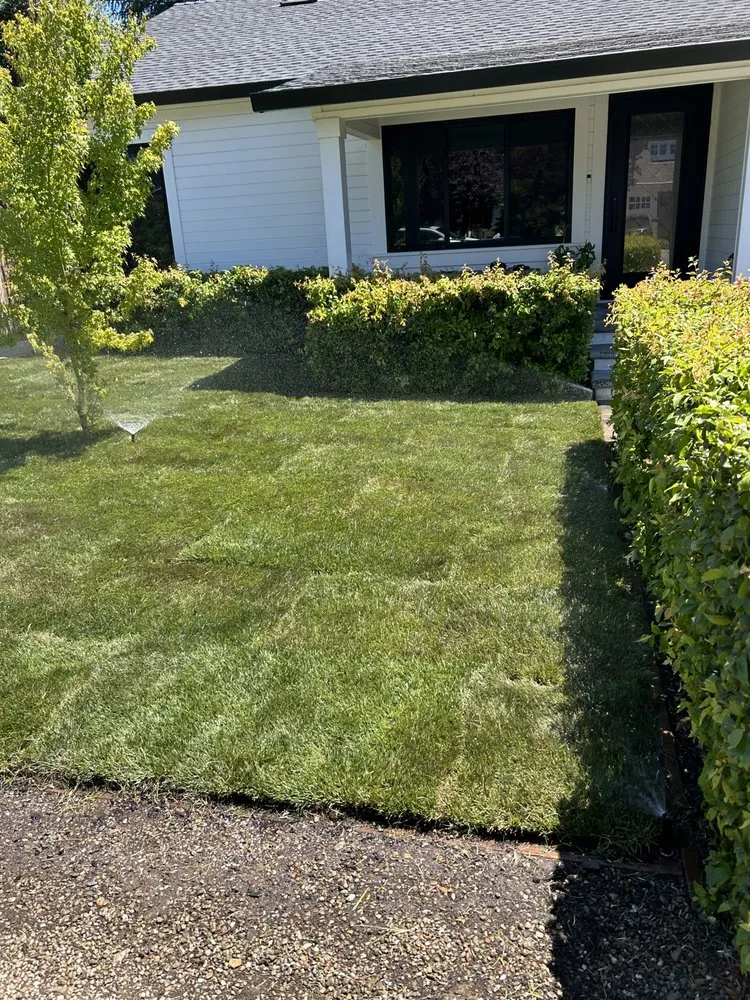 Top-rated yard cleanup service with custom design in San Jose, CA by Bravo Landscaping