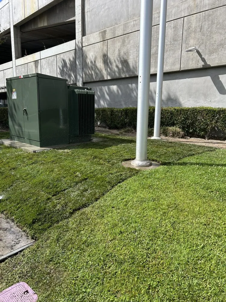 Trusted lawn mowing service in San Jose, CA by Bravo Landscaping