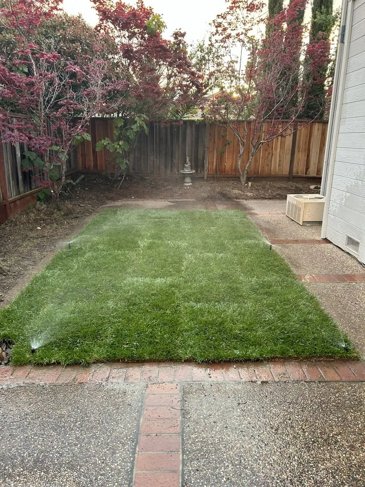 Reliable yard maintenance experts serving San Jose, CA - Bravo Landscaping