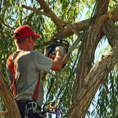 Top-rated landscape installation for beautiful yards in West Palm Beach, FL by Bravo Service