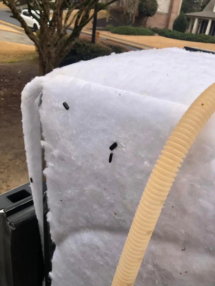 Professional landscape design in Auburn, GA by Bravo Team Pest and Lawn Management