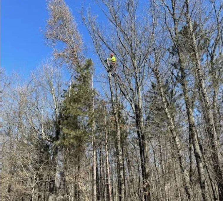 Trusted lawn mowing service in Shelby, MI - Bravo Tree Service