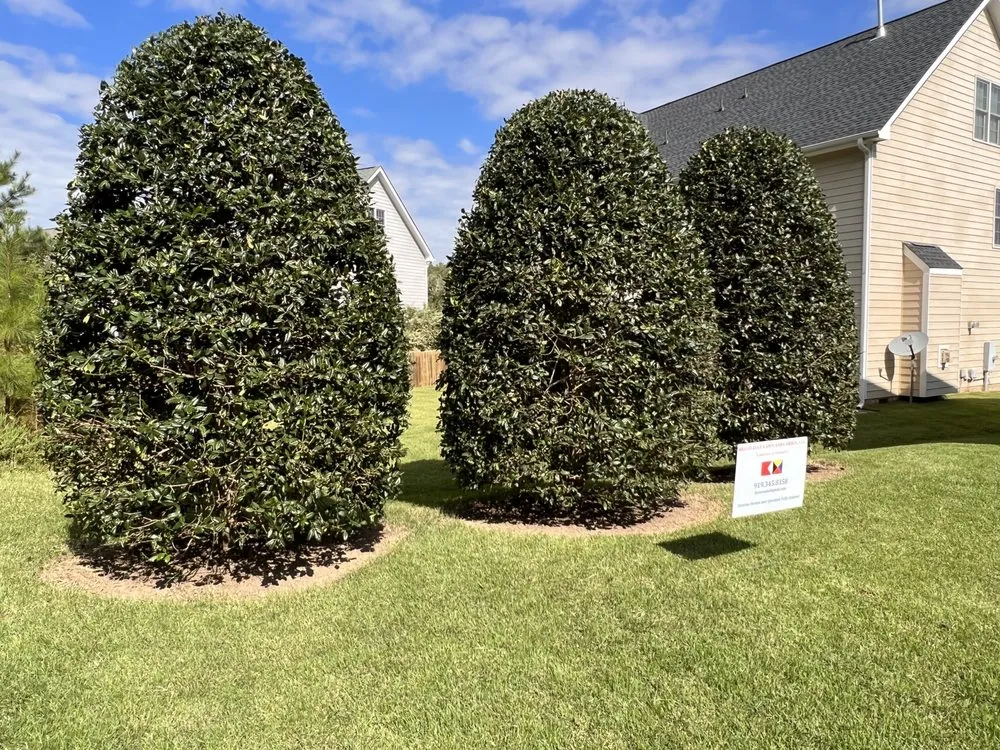 Trusted residential landscaping in Wake Forest, NC - Bravo Zulu Lawn and Garden