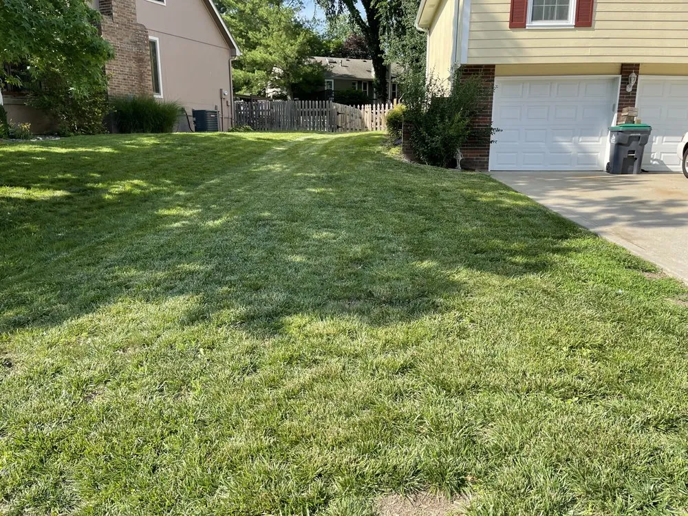 Affordable lawn care service experts serving Blue Springs, MO - Bravo Zulu Lawn Care