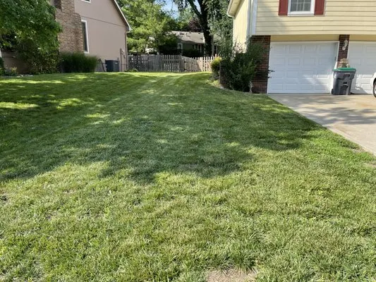 Bravo Zulu Lawn Care Logo