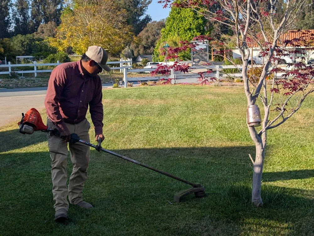 Professional residential landscaping for year-round maintenance across Santa Maria, CA - Bravo's Landscape and Maintnance