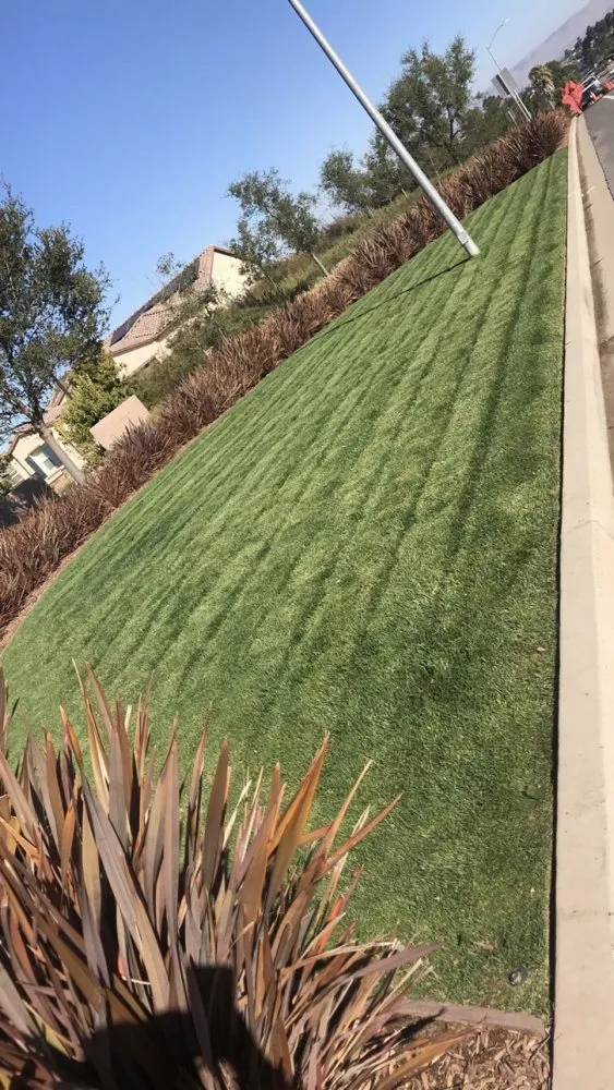Reliable outdoor landscaping near you in Santa Maria, CA by Bravo's Landscape and Maintnance