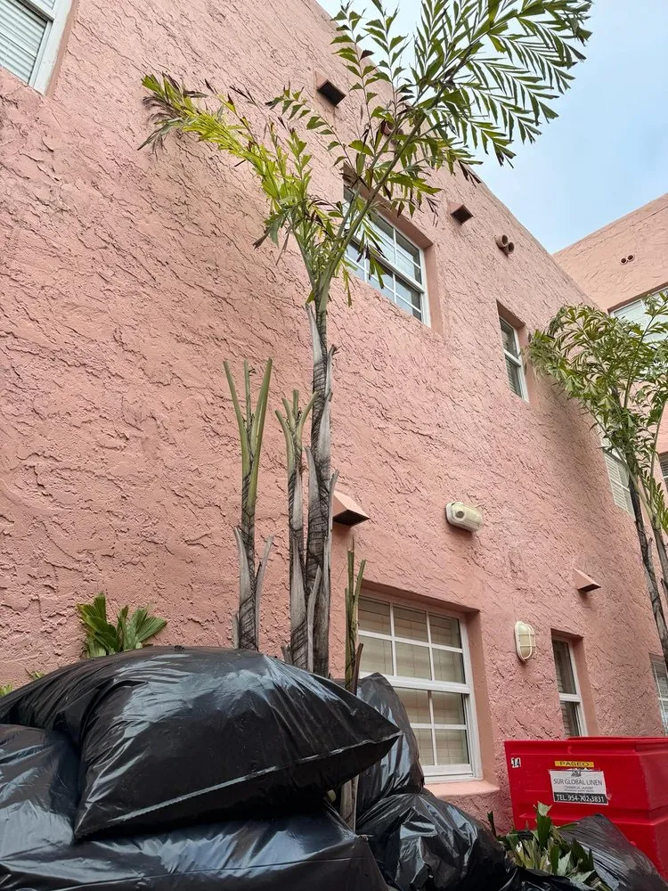 Affordable lawn mowing service in Miami, FL by Bravo’s Landscaping and Irrigation