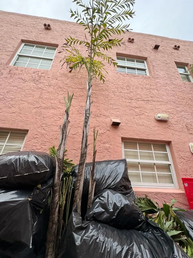 Local landscape design in Miami, FL by Bravo’s Landscaping and Irrigation