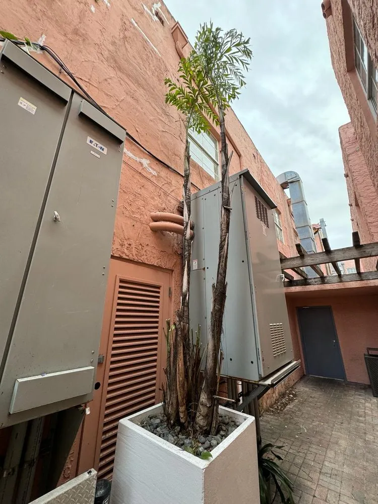 Expert residential landscaping for year-round maintenance across Miami, FL - Bravo’s Landscaping and Irrigation