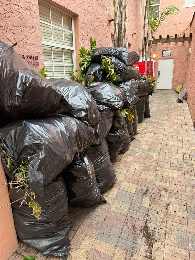 Top-rated landscaping services for homes across Miami, FL - Bravo’s Landscaping and Irrigation