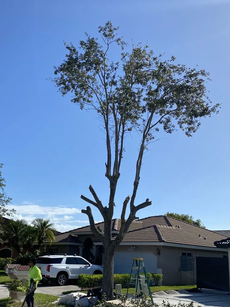 Custom lawn mowing service near you in Miami, FL by Bravo’s Landscaping and Irrigation