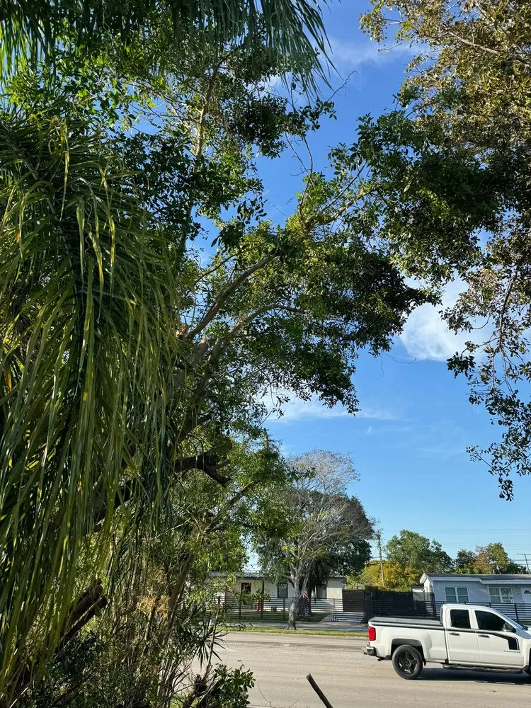 Local landscaping services in Miami, FL - Bravo’s Landscaping and Irrigation