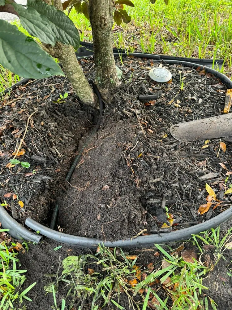 Trusted lawn mowing service for residential properties in Miami, FL by Bravo’s Landscaping and Irrigation