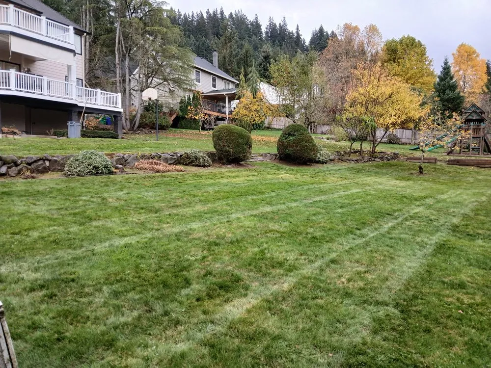 Reliable landscape installation experts serving Portland, OR - Bravos Landscaping Innovation