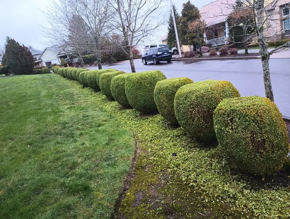 Affordable landscape design in Portland, OR by Bravos Landscaping Innovation