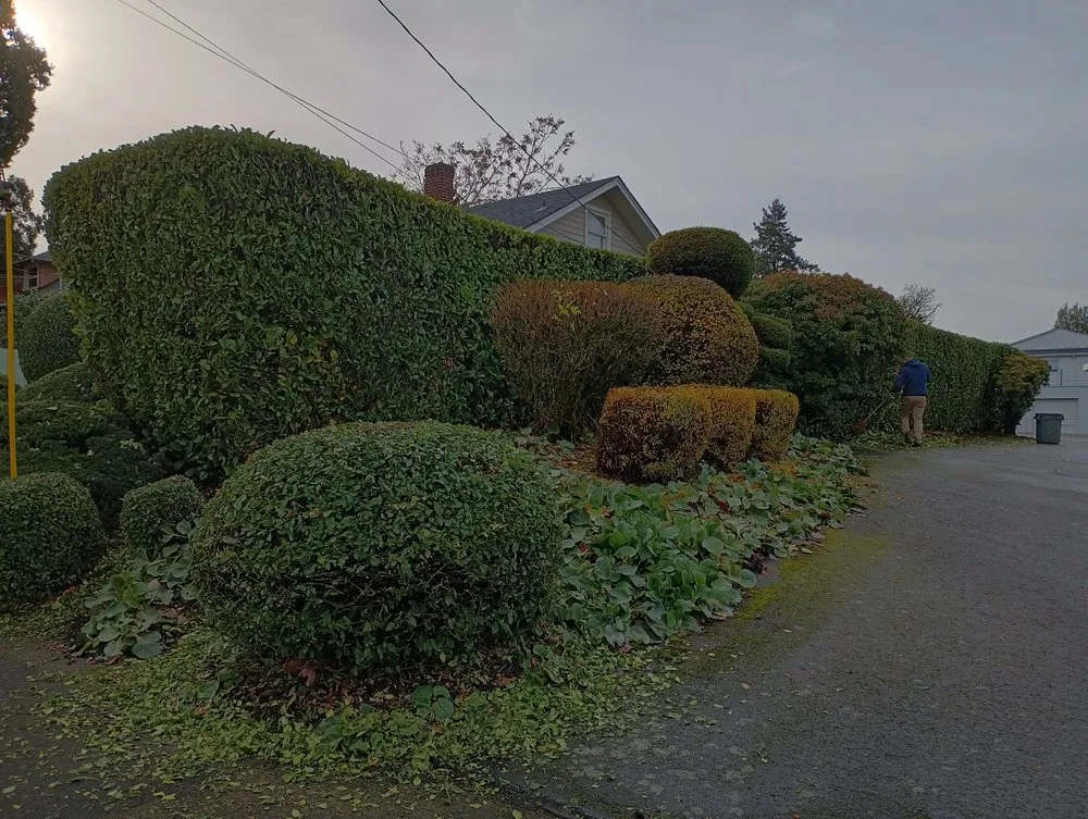 Custom outdoor landscaping for residential properties in Portland, OR by Bravos Landscaping Innovation