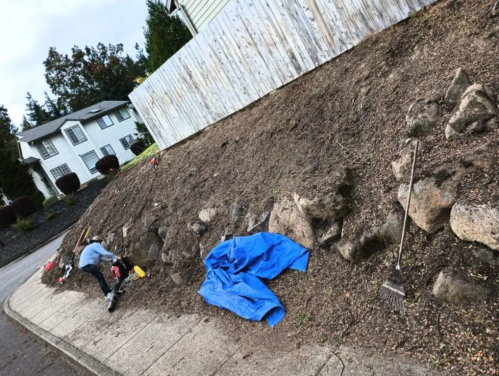 Reliable lawn care service in Portland, OR - Bravos Landscaping Innovation