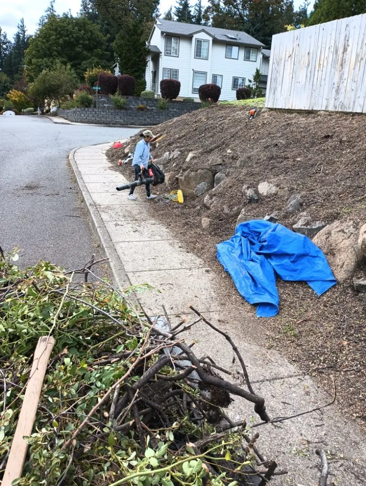 Reliable landscape design in Portland, OR - Bravos Landscaping Innovation