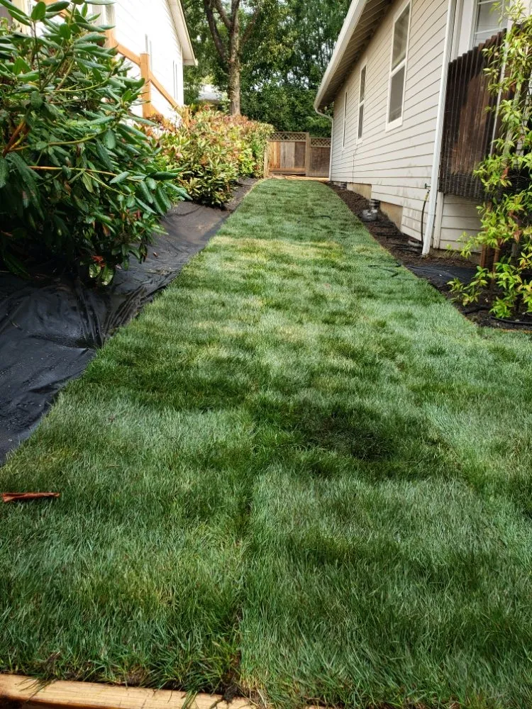 Professional lawn mowing service for beautiful yards across Portland, OR - Bravos Landscaping Innovation
