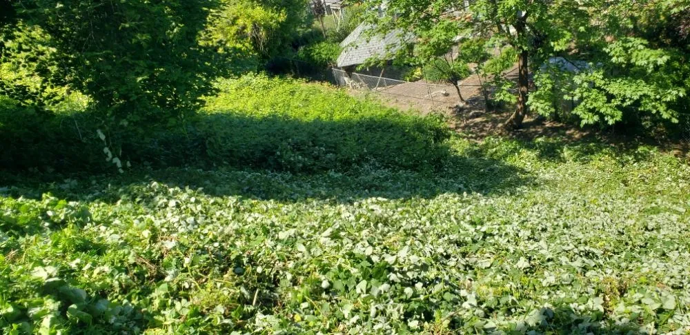 Custom lawn mowing service near you in Portland, OR by Bravos Landscaping Innovation