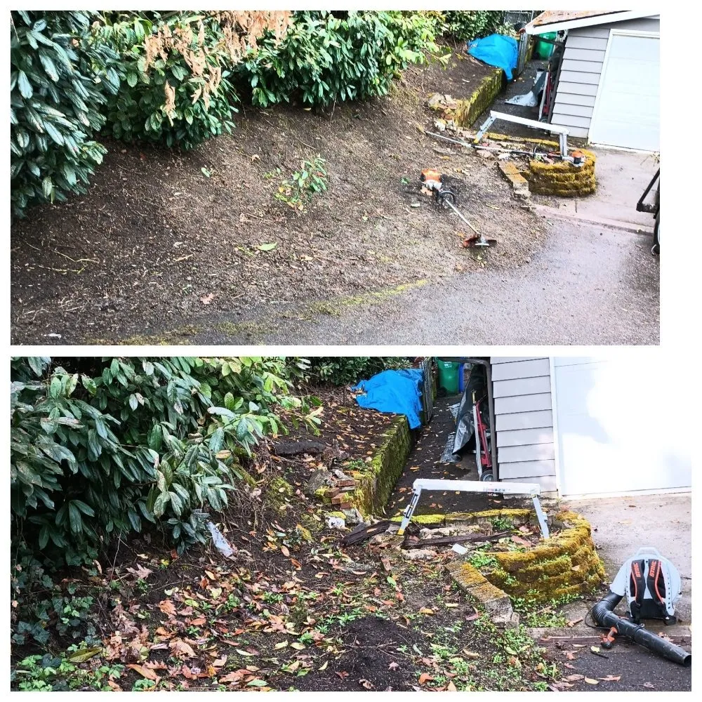 Trusted lawn care service for beautiful yards in Portland, OR by Bravos Landscaping Innovation