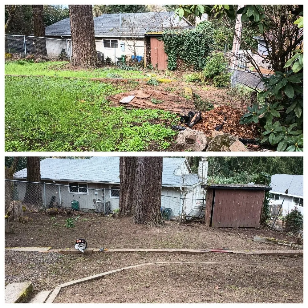 Reliable yard cleanup service in Portland, OR - Bravos Landscaping Innovation