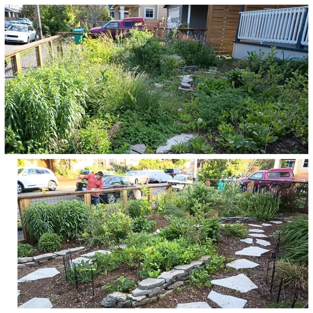 Affordable residential landscaping for residential properties in Portland, OR by Bravos Landscaping Innovation