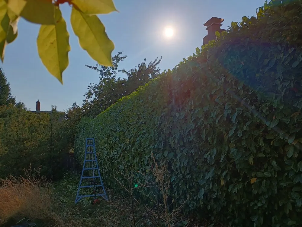 Top-rated outdoor landscaping experts serving Portland, OR - Bravos Landscaping Innovation