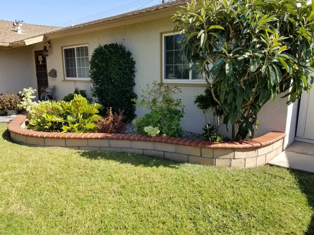 Affordable landscape installation experts serving Santa Ana, CA - Bravo's Tree Service