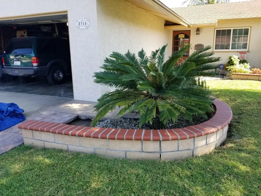 Local landscape installation in Santa Ana, CA by Bravo's Tree Service