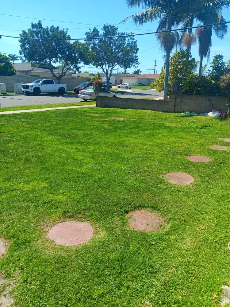 Reliable lawn mowing service in Santa Ana, CA - Bravo's Tree Service