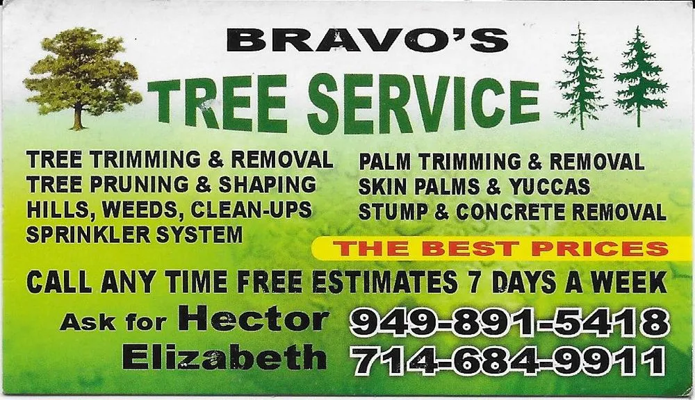Affordable residential landscaping experts serving Santa Ana, CA - Bravo's Tree Service