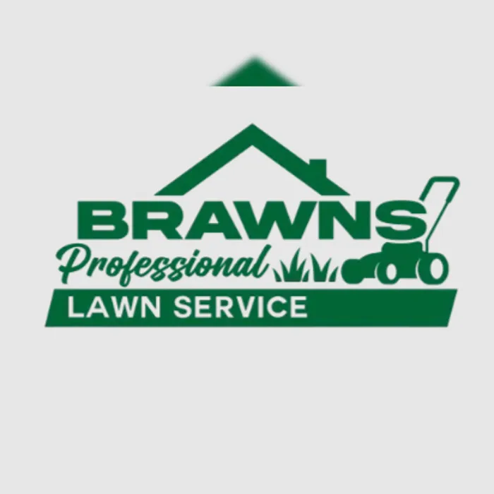 Professional landscaping services near you in Arlington, TX by Brawns Professional Lawn Service