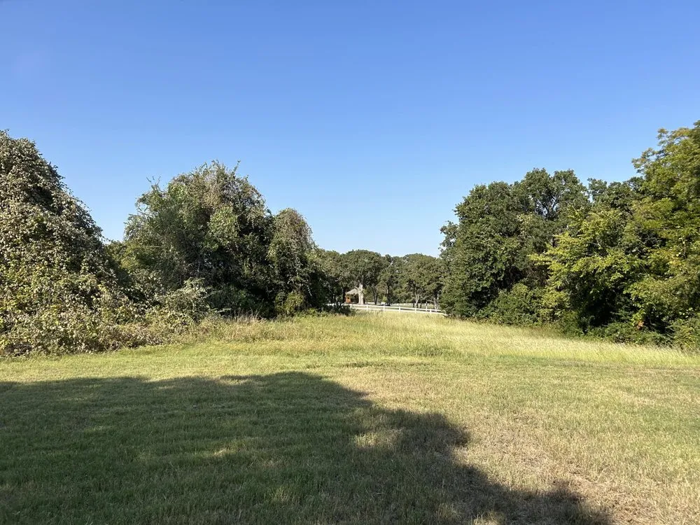 Local lawn care service in Arlington, TX by Brawns Professional Lawn Service