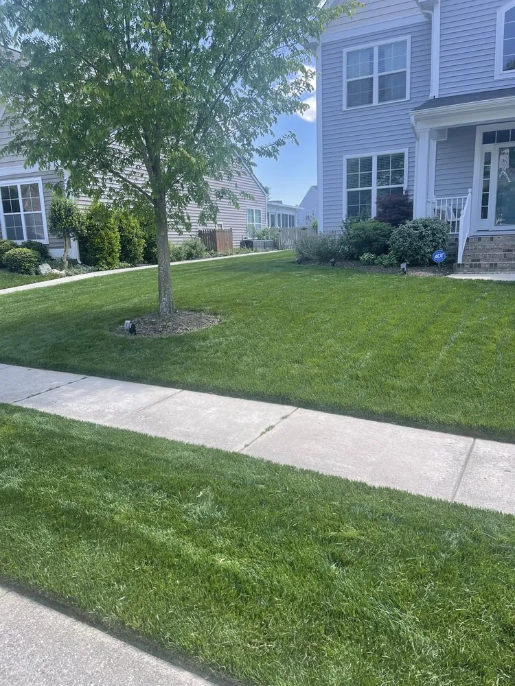 Professional landscape design for outdoor upgrades in Midlothian, VA by Braxton Lawn Care