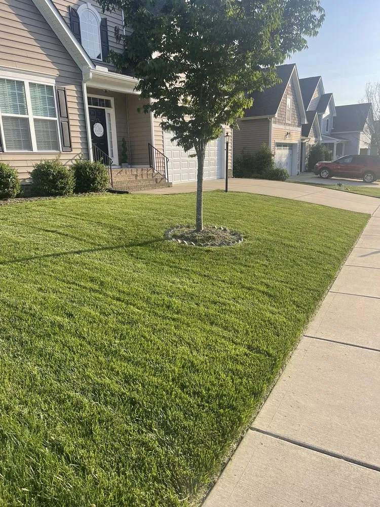 Custom residential landscaping in Midlothian, VA - Braxton Lawn Care