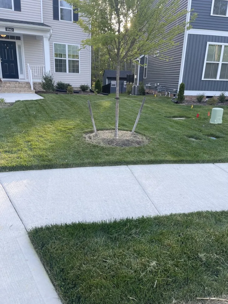 Trusted landscape design experts serving Midlothian, VA - Braxton Lawn Care