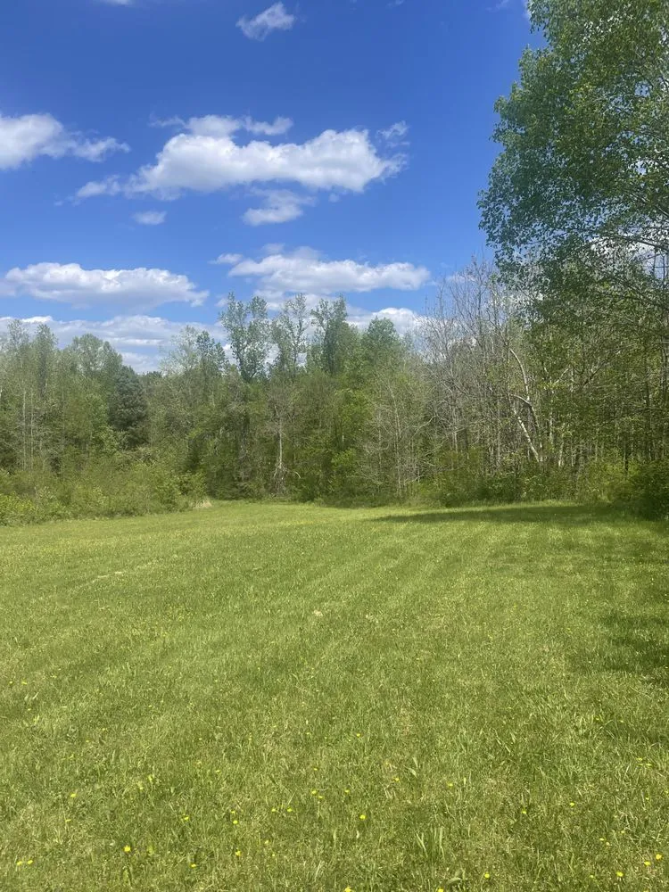 Local yard maintenance in Midlothian, VA - Braxton Lawn Care