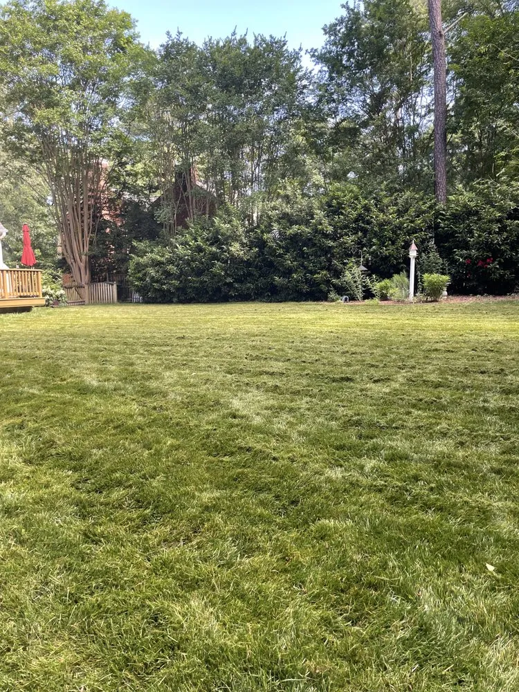 Trusted landscaping services experts serving Henrico, VA - Brayan Gonzalez Landscaping