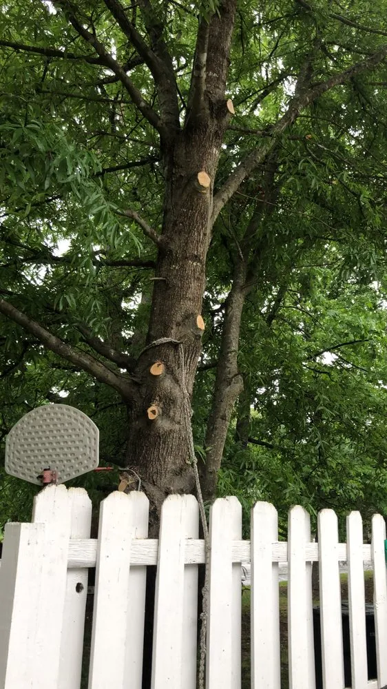 Expert outdoor landscaping experts serving Henrico, VA - Brayan Gonzalez Landscaping